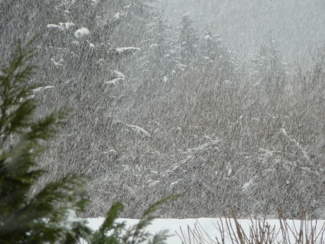 Gorski kotar